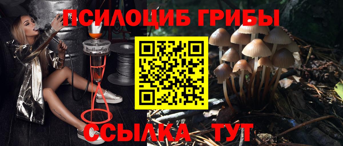 Галлюциногенные грибы Cubensis  Вход с VPN  Чебаркуль 