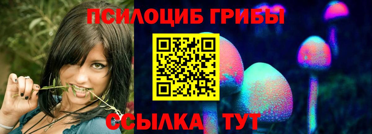 Псилоцибиновые грибы Psilocybe Чебаркуль
